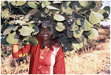 Kumbhalgarh_4_i.jpg - Junge Frau in Kumbhalgarh