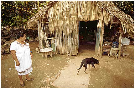 Mex-12.jpg - Sommerhaus der Mayas