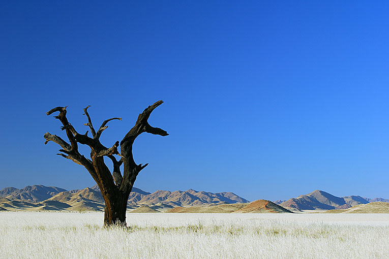 2011-09-04_2600_B.jpg - Copyright: Gerhard Spangenberg