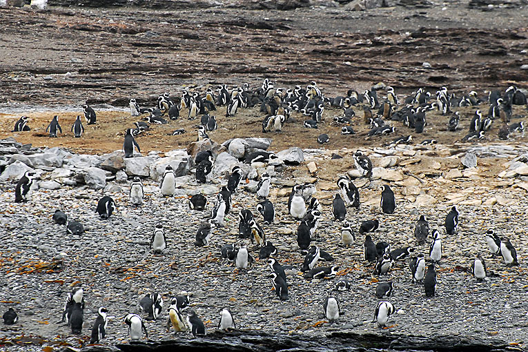 2011-09-08_3343_B.jpg - Copyright: Gerhard Spangenberg