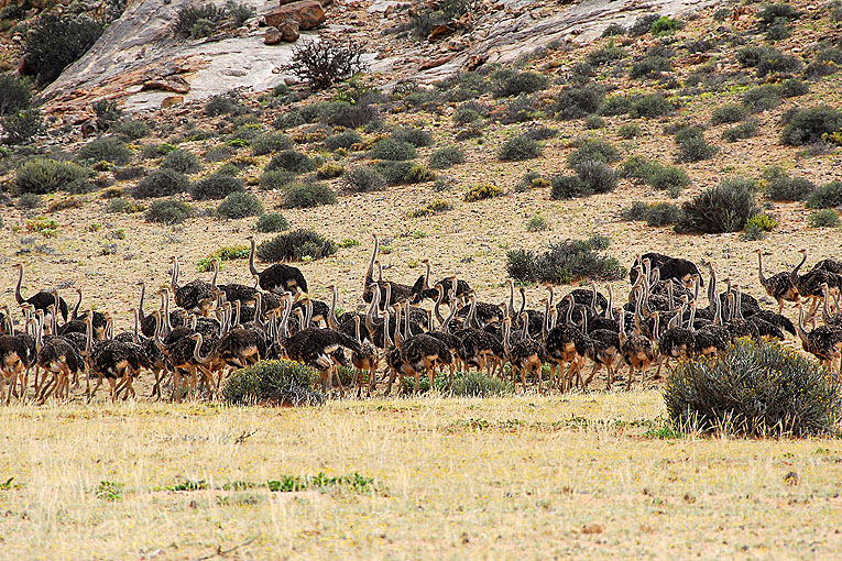 2011-09-08_3414_B.jpg - Copyright: Gerhard Spangenberg