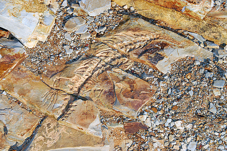2011-09-09_2416_B.jpg - Copyright:Gerhard Spangenberg