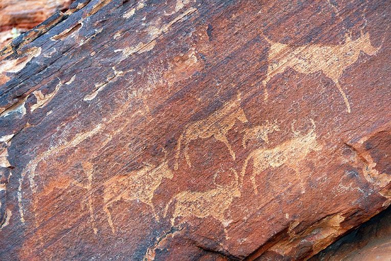 2011-09-18_4665.jpg - Copyright: Gerhard Spangenberg