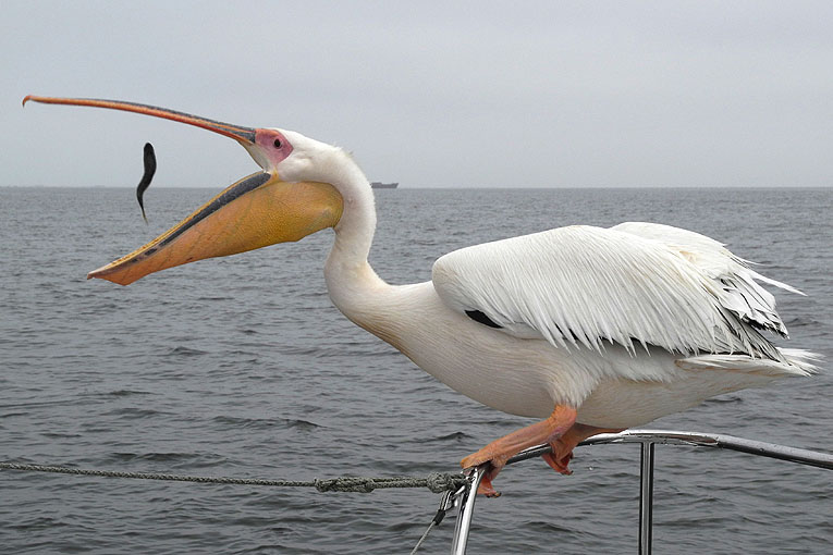 2011-09-21_2743.jpg