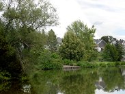 Maasgrundweiher