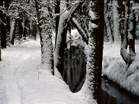 Urselbach oberhalb der Hohemark