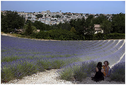 475_i_.jpg - Blick auf Valensole