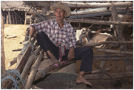 Cowboy.jpg - Cowboy in der Rinderfarm