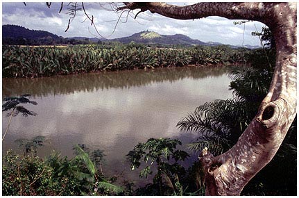 Grenzfluss.jpg - Der Grenzfluss zwischen Thailand und Burma