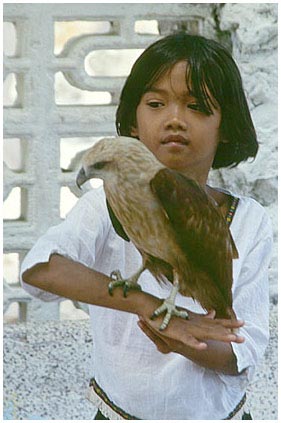 M+Bussard.jpg - Mädchen mit Bussard