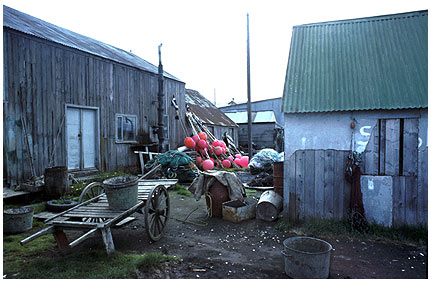 Fischerhof.jpg - Fischerhof auf Island