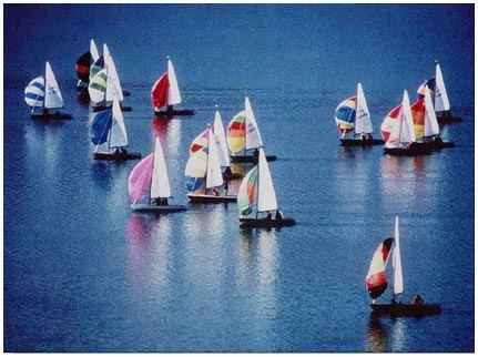 Segelregatta.jpg - Segelregatta auf dem Schluchsee