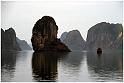 Halong3_i