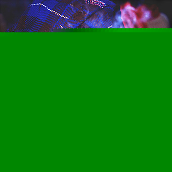 b02.jpg