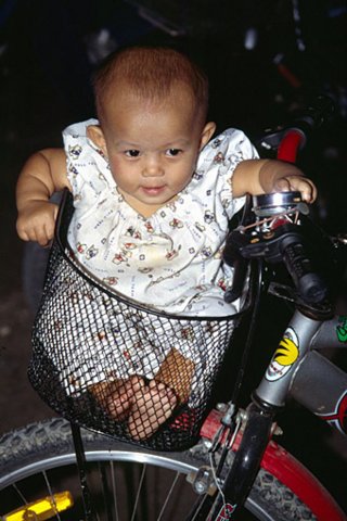 t03.jpg