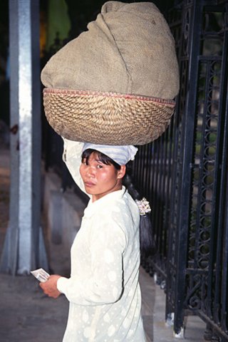 v01.jpg