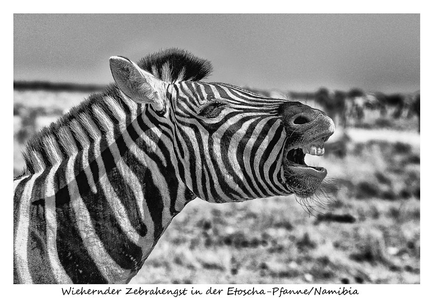Reisefotografie_26